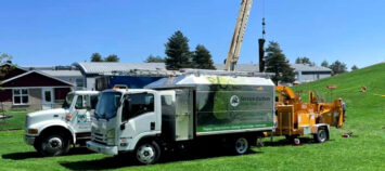 Arbres Rive-Sud photo 6